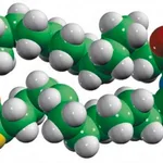 Merck CER10(d9)