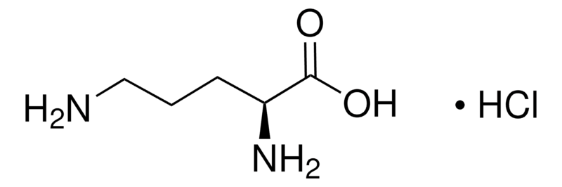 Merck L-Ornithine hydrochloride