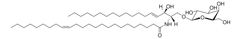 Merck C24:1 Galactosyl(beta) Ceramide (d18:1/24:1(15Z))
