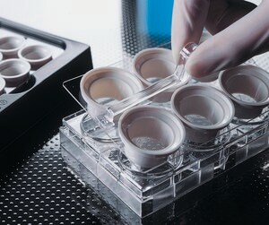 Merck CORNING(R) NETWELLS(R) ACCESSORIES CARR&