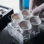 Merck CORNING(R) NETWELLS(R) ACCESSORIES CARR&