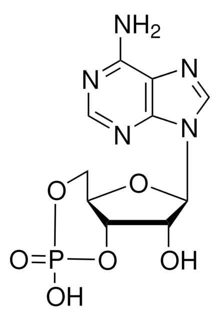 Merck ADENOSINE 3``:5``-CYCLIC MONOPHOSPHATE   &