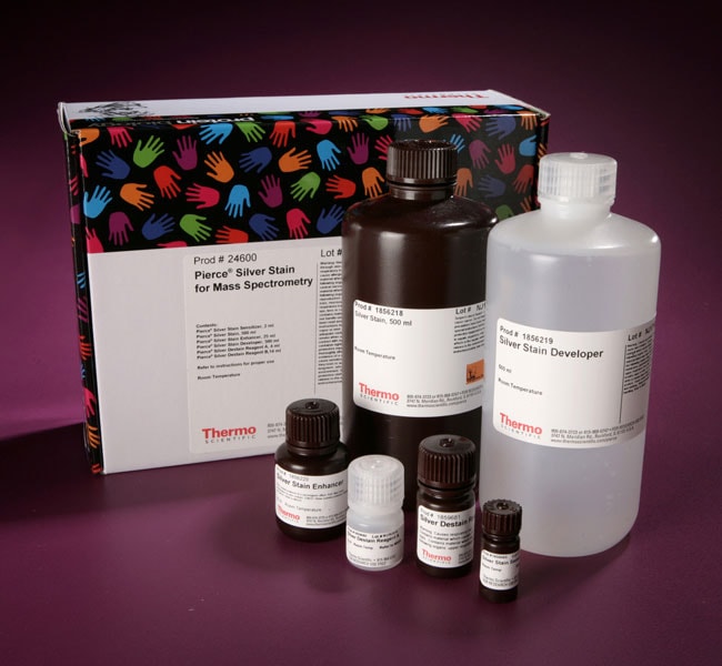 Thermo Fisher Scientific Pierce Silver Stain for Mass Spectrometry