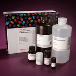 Thermo Fisher Scientific Pierce Silver Stain for Mass Spectrometry