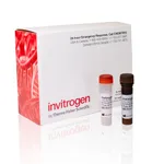 Thermo Fisher Scientific QuantiGene Plex Rat Housekeeping Gene Panel, 10-plex, 1 Plate