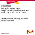 Merck Anti-Mouse (lambda-chain specific)-Alkaline Phosphatase antibody produced in rabbit