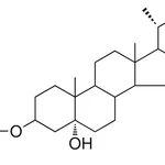 Merck 5-HYDROXY-5-ALPHA-CHOLESTAN-3- - 1 MG&