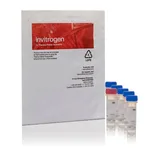 Thermo Fisher Scientific Image-IT LIVE Green Reactive Oxygen Species Detection Kit, for microscopy