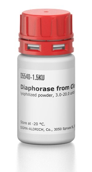 Merck DIAPHORASE FROM CLOSTRIDIUM KLUYVERI&