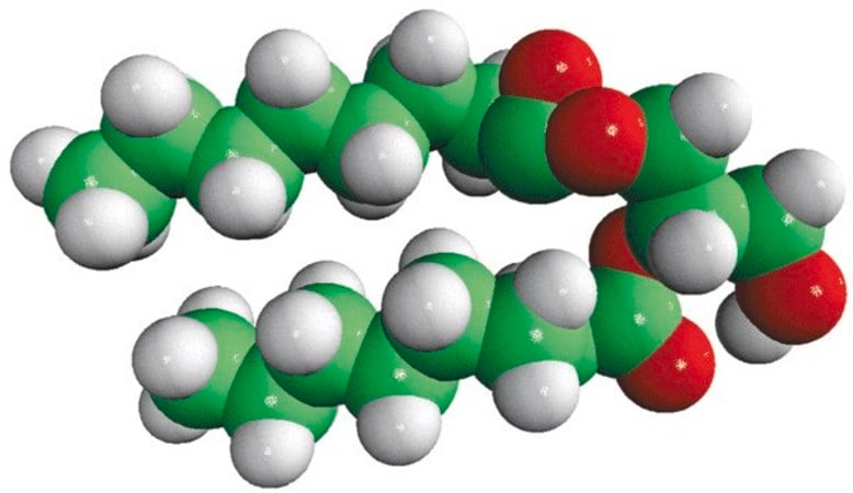 Merck 08:0 DG