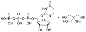 Merck URIDINE 5``-TRIPHOSPHATE TRIS TYPE VI