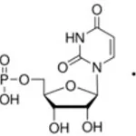Merck URIDINE 5``-TRIPHOSPHATE TRIS TYPE VI