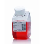 Thermo Fisher Scientific DMEM:F-12 for SILAC