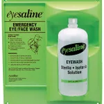 Thermo Fisher Scientific Saline Wall Station, 32 oz. (950mL)