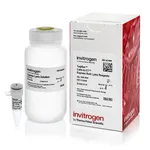 Thermo Fisher Scientific TaqMan Cells-to-CT Express Lysis Reagents