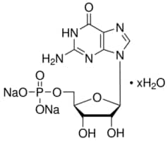 Merck DISODIUM GUANYLATE, UNITED STATES PHARMA
