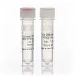 Thermo Fisher Scientific Ambion DNase I (RNase-free), 2000 U