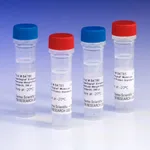 Thermo Fisher Scientific SuperSignal Molecular Weight Protein Ladder
