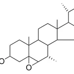 Merck 5,6-BETA-EPOXY-7-ALPHA-METHYL- - 1 MG&