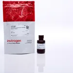 Thermo Fisher Scientific DTNB; Ellman`s Reagent, 5,5`-Dithiobis-(2-Nitrobenzoic Acid)
