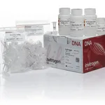 Thermo Fisher Scientific PureLink Quick Gel Extraction Kit, 50 preps