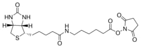 Merck BIOTINAMIDOCAPROATE N-HYDROXY- &