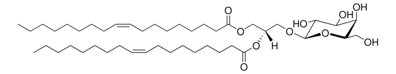 Merck 18:1 MGDG (synthetic)