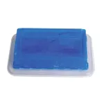 Thermo Fisher Scientific Pyrogen-Free RNase/DNase Sterile Reagent Reservoir, 25mL