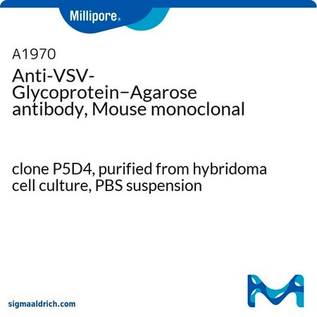 Merck Anti-VSV-Glycoprotein-Agarose antibody, Mouse monoclonal