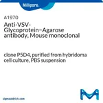 Merck Anti-VSV-Glycoprotein-Agarose antibody, Mouse monoclonal
