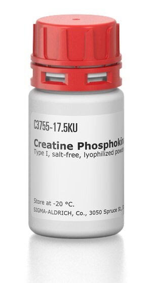 Merck CREATINE PHOSPHOKINASE TYPE I FROM &