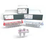 Thermo Fisher Scientific Oncomine TCR Beta-LR Assay GX
