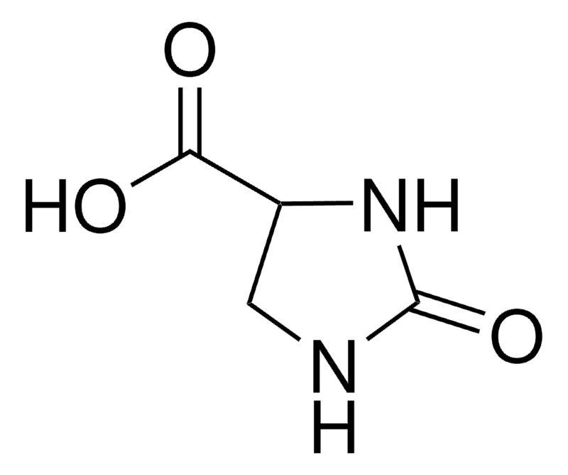 Merck 2-Imidazolidone-4-carboxylic acid
