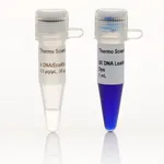 Thermo Fisher Scientific Lambda DNA/EcoRI plus HindIII Marker, 5 x 50 ug