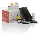 Thermo Fisher Scientific ProcartaPlex Mouse Basic Kit