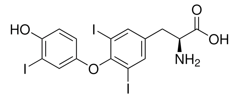 Merck Liothyronine