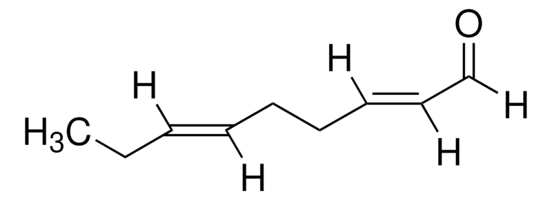Merck trans,trans-2,6-Nonadienal