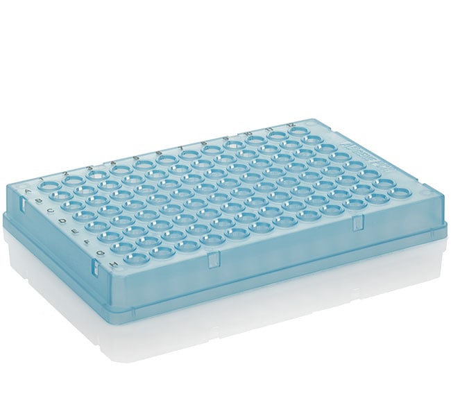 Thermo Fisher Scientific PCR Plate, 96-well, low profile, skirted, black lettering, blue