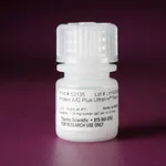 Thermo Fisher Scientific Pierce Protein A/G Plus UltraLink Resin