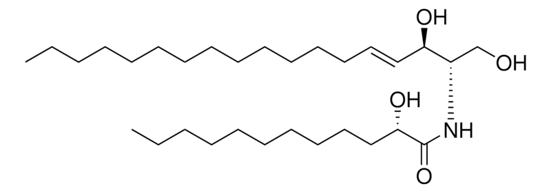 Merck 12:0(2S-OH) Ceramide