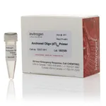 Thermo Fisher Scientific Anchored Oligo(dT)20 Primer