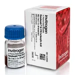 Thermo Fisher Scientific Dynabeads M-270 Carboxylic Acid, 2 mL