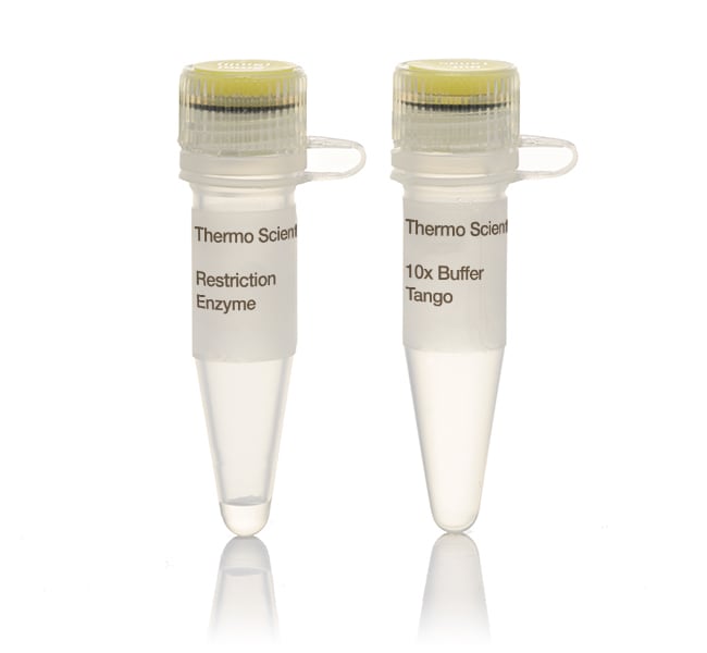 Thermo Fisher Scientific DpnI (10 U/&mu;L), 500 units