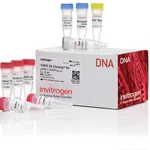 Thermo Fisher Scientific TOPO TA Cloning Kit for Subcloning, without competent cells, 25 Reactions