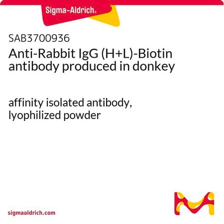 Merck Anti-Rabbit IgG (H+L)-Biotin antibody produced in donkey