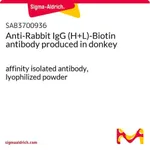 Merck Anti-Rabbit IgG (H+L)-Biotin antibody produced in donkey