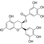 Merck (-)-EPIGALLOCATECHIN 3-GALLATE