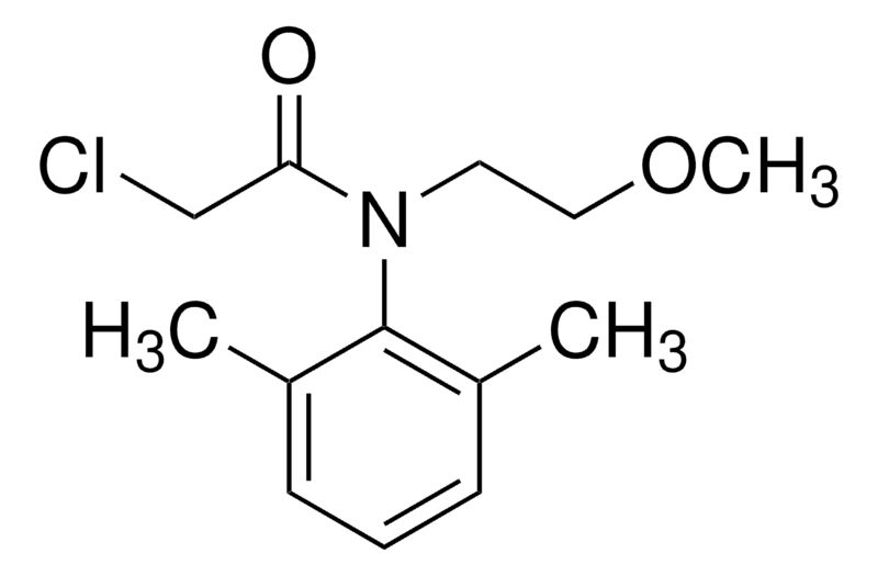 Merck Dimethachlor