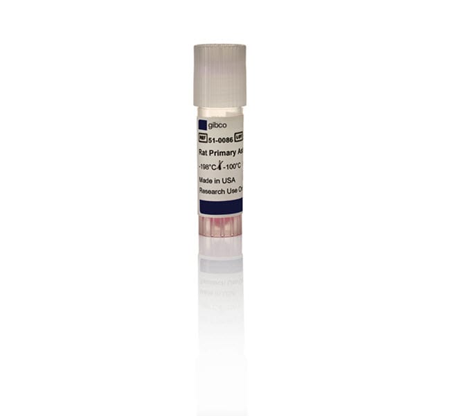 Thermo Fisher Scientific Rat Primary Cortical Astrocytes