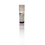 Thermo Fisher Scientific Rat Primary Cortical Astrocytes